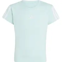 Adidas Camiseta 'Essentials' menta / blanco