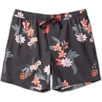 Roark - Shorey - Pantalones de baño size S, gris