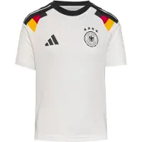 Adidas Camiseta funcional 'DFB' curry / rojo / negro / blanco