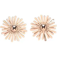 Avant Garde Pendientes 'Edytana' oro