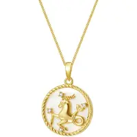 Hey Happiness Cadena 'Capricorn' oro