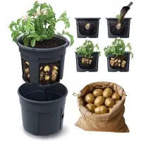 Prosperplast Maceta Potatoes 39.2x39.2x31.6 Cm