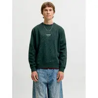 Jack & Jones Sudadera 'JJESoho' verde oscuro / blanco