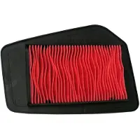 Champion Parts Filtro De Aire Caf0113 Honda Cbr 125 R 2004/2012