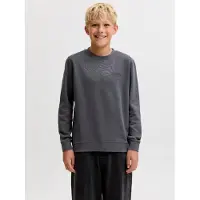 JACK&JONES JUNIOR Junior Sudadera gris oscuro