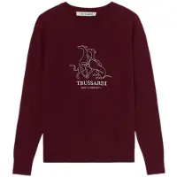 Trussardi Jersey marrón oscuro