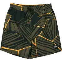Quiksilver - Kid's Everyday Printed Volley 14'' - Pantalones de baño size 140/146, oliva