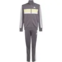 Adidas Chándal Seasonal Essentials Tiberio 3 Stripes Tricot