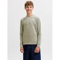 JACK&JONES JUNIOR Junior Sudadera 'JJEArchive' verde pastel
