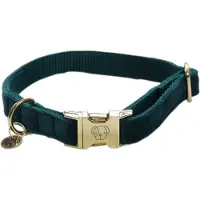 Kentucky Collar Para Perro Velvet