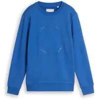 Tom Tailor Sudadera azul