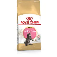 Royal Canin Maine Coon Kitten - 4 kg