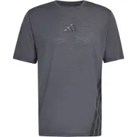 Adidas adidasCamiseta Terrex Xperior CLIMACOOL+ M Carbon Hombre