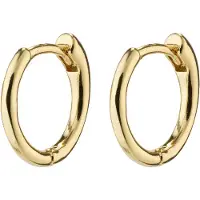 Pilgrim Pendientes 'EANNA' oro