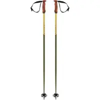 Völkl Bastones Phantastick 18mm