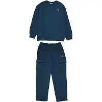 Puma Conjunto petróleo