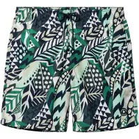 The Sunshine Brand Bermudas 'Mike' verde hierba / verde oscuro / blanco