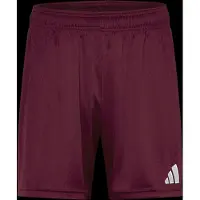 Adidas adidasPantalón corto Entrada26 XL Team Maroon 2 / White Hombre
