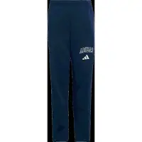 Adidas - Kid's Seasonals Collegiate Typography Pants - Pantalones de deporte size 164, azul