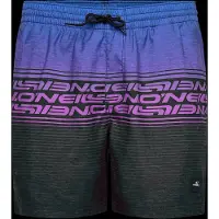 O'Neill - Logo Stripe 16'' Swimshorts - Pantalones de baño size S, multicolor