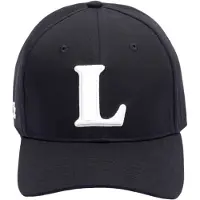 Lacoste Gorra verde / negro / blanco