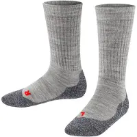 Falke Calcetines gris / gris oscuro
