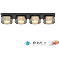 Paul Neuhaus Lámpara de techo LED RIKA 6164-18 de