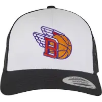 Mister tee Gorra mezcla de colores / negro