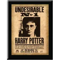 Noble Collection Indeseable Nº1 Harry Potter 30x21 Cm