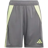 Adidas adidasPantalón corto Tiro 24 (Adolescentes) 152 Grey Five / Pulse Lime Niño