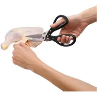 Chefn Tijeras Para Aves