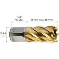 Fein Broca de núcleo HSS Dura 25 de , con cono Weldon, de 20 x 25 mm (63134200075)