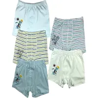 LOREZA Calzoncillo 'Jungen Boxershorts Dinos' mezcla de colores