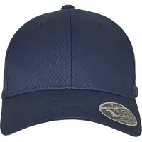Flexfit Gorra 110 Curved Visor Snapback