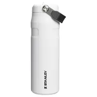 Stanley The AeroLight IceFlow Bottle Flip Straw 2.0 24oz, Dried Pine 10-11283-179 botella térmica con pajita, 700 ml