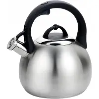 Maestro Tetera Mr-1311 3.0l