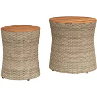 vidaXL : Juego de 2 mesas auxiliares para jardín, con tablero de madera, color beige, de ratán sintético
