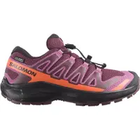 Salomon Zapatillas De Trail Running Xa Pro Wp