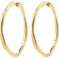 Pilgrim Pendientes 'Presence' oro