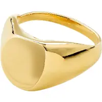 Pilgrim Anillo 'Presence' oro