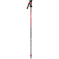 Vola Bastones Sl Alu-carbon World Cup 16 Mm