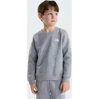 The North Face Ropa para correr 'Evolution Simple Done' gris moteado