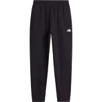 The North Face Pantalón 'EVOLUTION SIMPLE DOME' negro