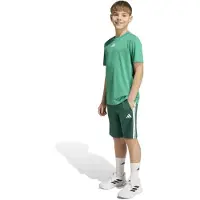 Adidas Conjunto Train Essentials 3 Stripes Tee Kids