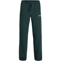 Jack & jones Junior Pantalón 'JPSTKane' pino