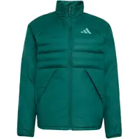 Adidas adidasChaqueta aislante Terrex Multi Climawarm L Collegiate Green / Collegiate Green Hombre