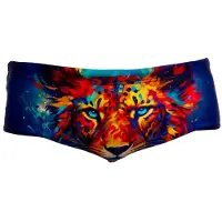 Funky Trunks - Sidewinder Trunks - Pantalones de baño size S, multicolor