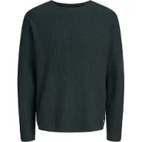 Jack & jones Jersey 'JPRBLUMason' verde oscuro