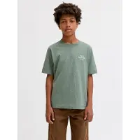 Jack & Jones Junior Camiseta 'JORNORREBRO' menta / blanco