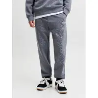 Jack & Jones Pantalón 'JPSTKane Soho' gris